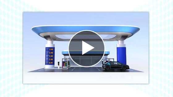 Video preview